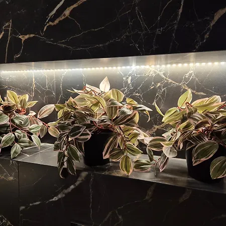 Ceglana Park- Piekne Osiedle- Nowe Luksusowe Mieszkanie Z Biurkiem Apartment Katowice