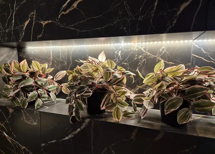 Ceglana Park- Piekne Osiedle- Nowe Luksusowe Mieszkanie Z Biurkiem Appartement Katowice