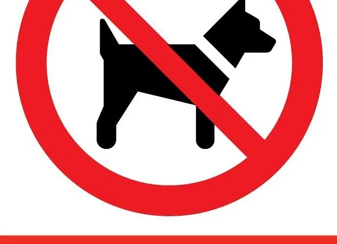 Ceglana Park- Piekne Osiedle- Nowe Luksusowe Mieszkanie Z Biurkiem Appartement Katowice